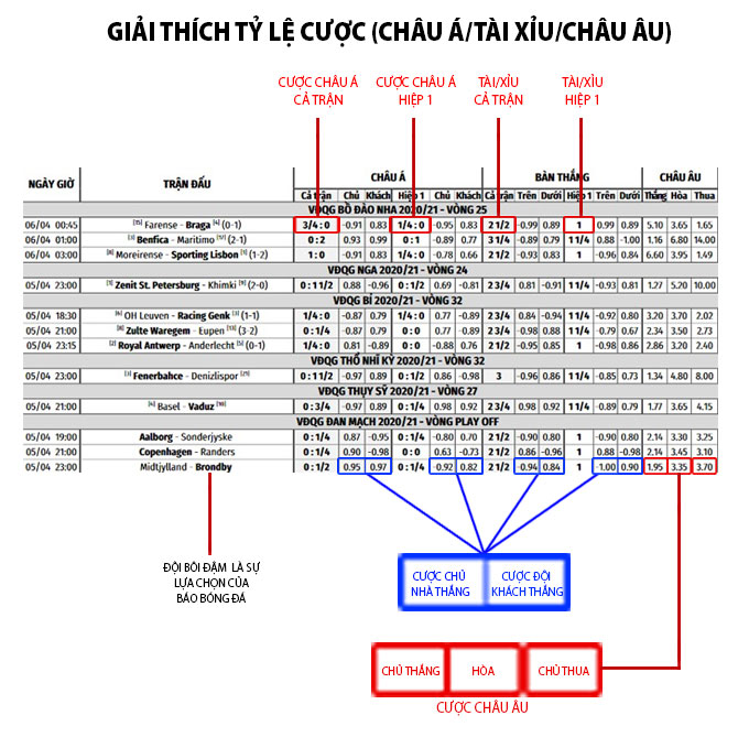 cách đọc tỷ lệ kèo bóng đá cho người mới - Image 4